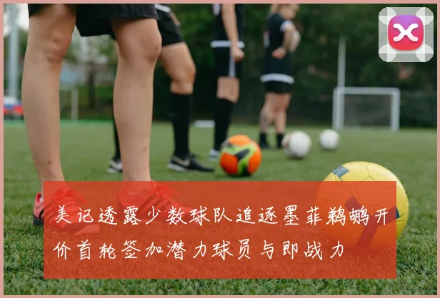 美记透露少数球队追逐墨菲鹈鹕开价首轮签加潜力球员与即战力