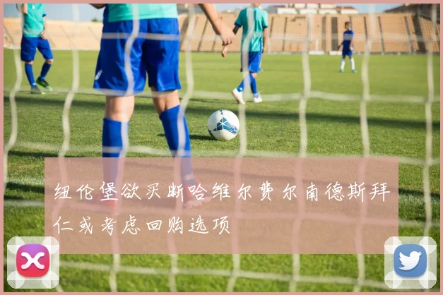 纽伦堡欲买断哈维尔费尔南德斯拜仁或考虑回购选项